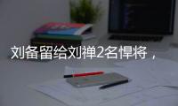 刘备留给刘禅2名悍将，最后结局分别如何？